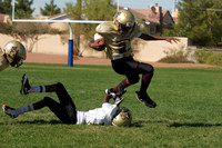 DYFL/NYFL FALL 2011
