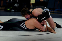 BULLDOG GRAPPLER