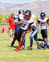 WILDCATS VS COWBOYS (U8)