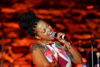 CONCERT PORTFOLIO