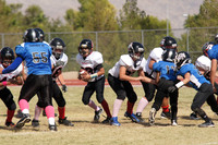 BEARCATS VS VENOM (MINOR)