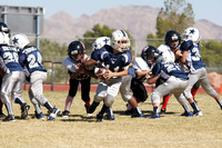 LV COWBOYS VS BEARCATS (PEE WEE)