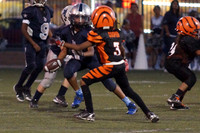 BENGALS VS LV COWBOYS (PEE WEE)
