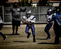 WOLFPACK VS VENOM (PEE WEE) CHAMPIONSHIP GAME