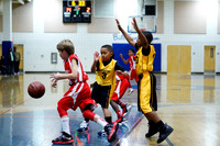 DOOLITTLE BASKETBALL 2013