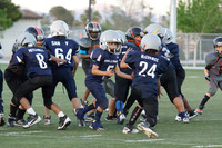 SKYHAWKS VS FURY (PEE WEE)