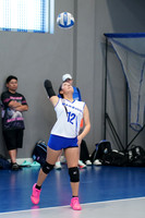 WARRIORS VOLLEYBALL