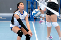 WARRIORS VOLLEYBALL