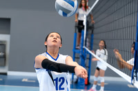 WARRIORS VOLLEYBALL