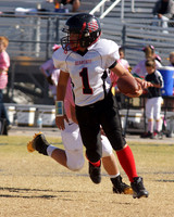 PANTHERS VS BEARCATS (MIDGET)
