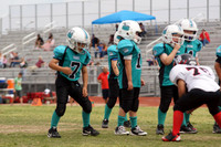 SHARKS VS BEARCATS (PEE WEE)