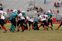 SHARKS VS BEARCATS (MIDGET)