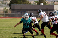 SHARKS VS BEARCATS (MINOR)