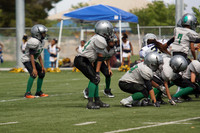 SKYHAWKS VS MULISHA (PEE WEE)