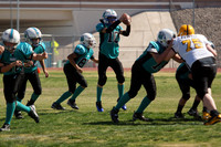 PANTHERS VS SHARKS (MINOR)
