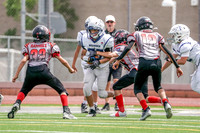 WOLFPACK VS COUGERS (11U)