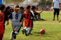 BULLDOGS VS WOLVES (3-5 YR)