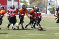 SPARTANS VS GILA MONSTERS