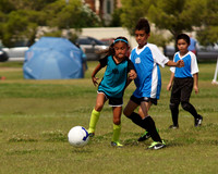 NYS SUMMER SPORTS 2013