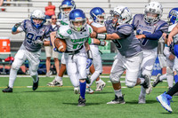 GV KNIGHTS VS WOLFPACK (10U)