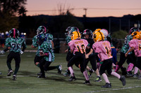 PANTHERS VS GREEN MACHINE (PEE WEE)