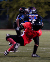 NYS FALL FOOTBALL 2013