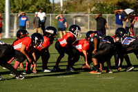 49ers vs BG GATORS (PEE WEE)
