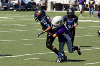 GATORS VS SKYHAWKS (BANTAM)
