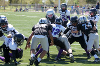 RAIDERS VS RAVENS (MINOR)