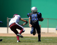 TSUNAMIS VS ELKS