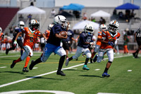 JR BULLDOGS VS HURRICANES (9U)