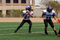NYFL SPRING 2014