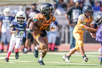 YOUTH FOOTBALL (ALL LEAGUES)