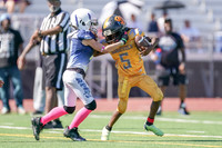 SUN DEVILS VS BULLDOGS (10U/9U)