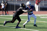 JR BULLDOGS vs GOLDEN KNIGHTS (8U)