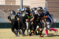 DUCKS VS LV COWBOYS (PEE WEE)