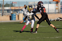 DUCKS VS KNIGHTS (BANTAM)