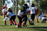 BADGERS VS DUCKS (PIGSKIN)