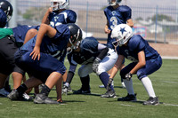 COWBOYS VS PANTHERS (MIDDLE)