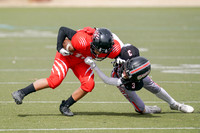 DAWGS VS COUGERS (13U)