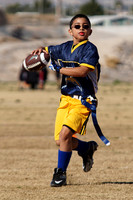 NYS SPRING SPORTS 2015