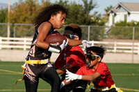 SAINTS VS WARRIORS (FLAG)