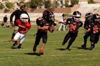 KNIGHTS VS BADGERS (PIGSKIN)