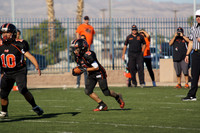 KNIGHTS VS DUCKS (CADET)