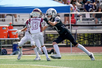 95 RIDERS VS CRUSADERS (12U)