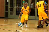 LAKERS VS KINGS (D2)
