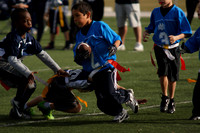 LV COWBOYS VS PANTHERS (FLAG)