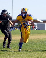 NYS FALL 2011 FOOTBALL