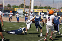 STALLIONS VS GATORS