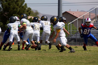 FEDERALS VS DUCKS (MIDGET)